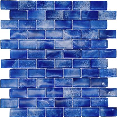 Blue Tang 1″ x 2″ Mosaic