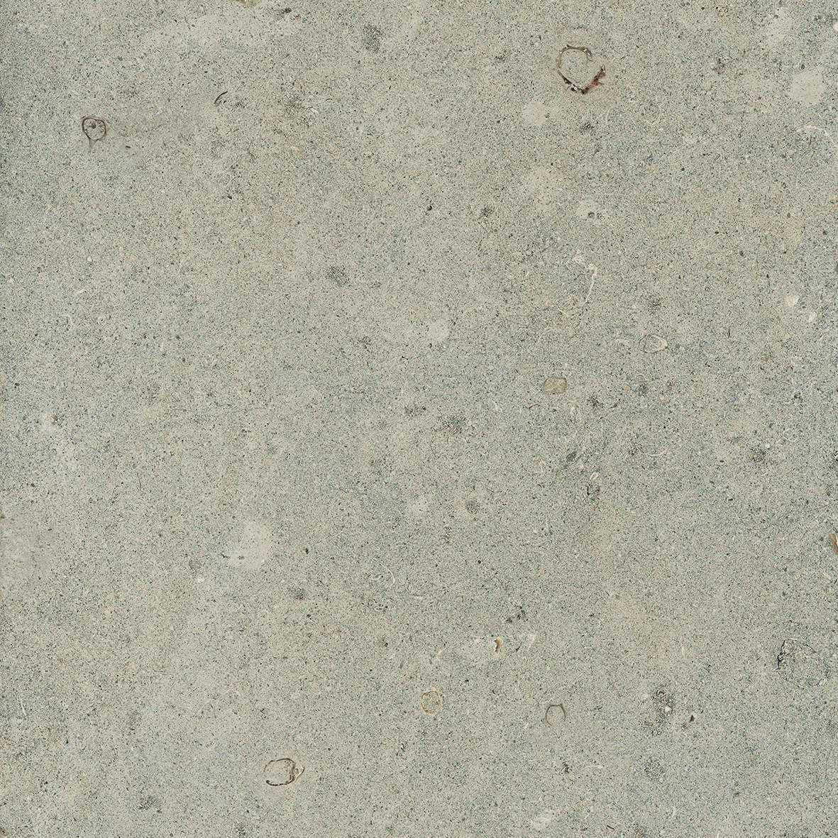 Duality_Limestone-Cream_24x24.jpg Duality_Limestone-Cream_24x24.jpg