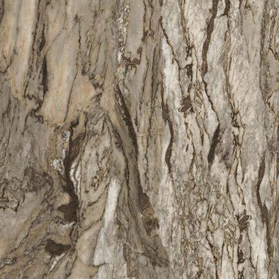 Shenandoah Bark 543510