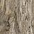 Shenandoah Bark
