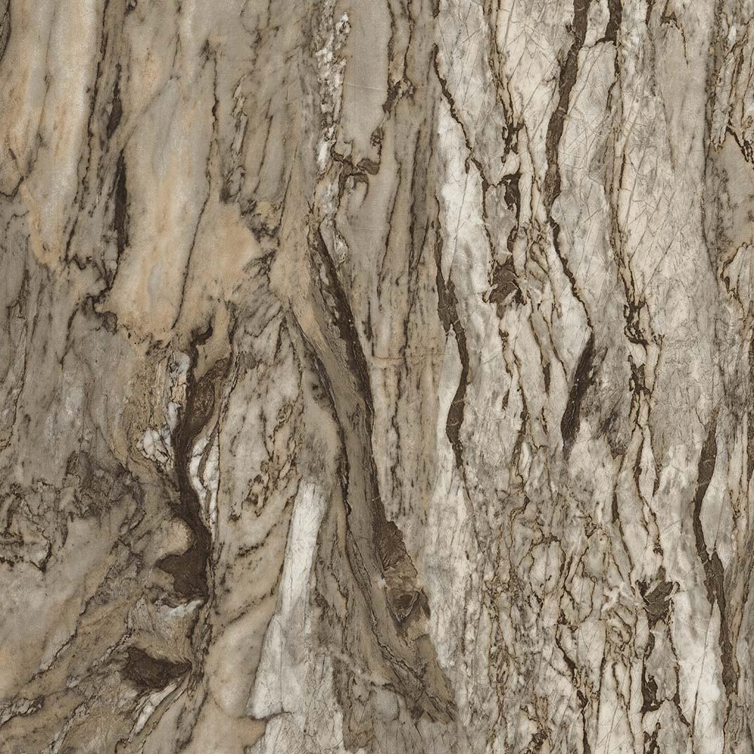 Shenandoah Bark 543510