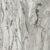 Shenandoah Bone